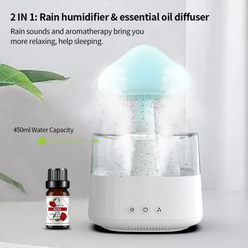 2-in-1 Desk Light Humidifier Rain Cloud Diffuser