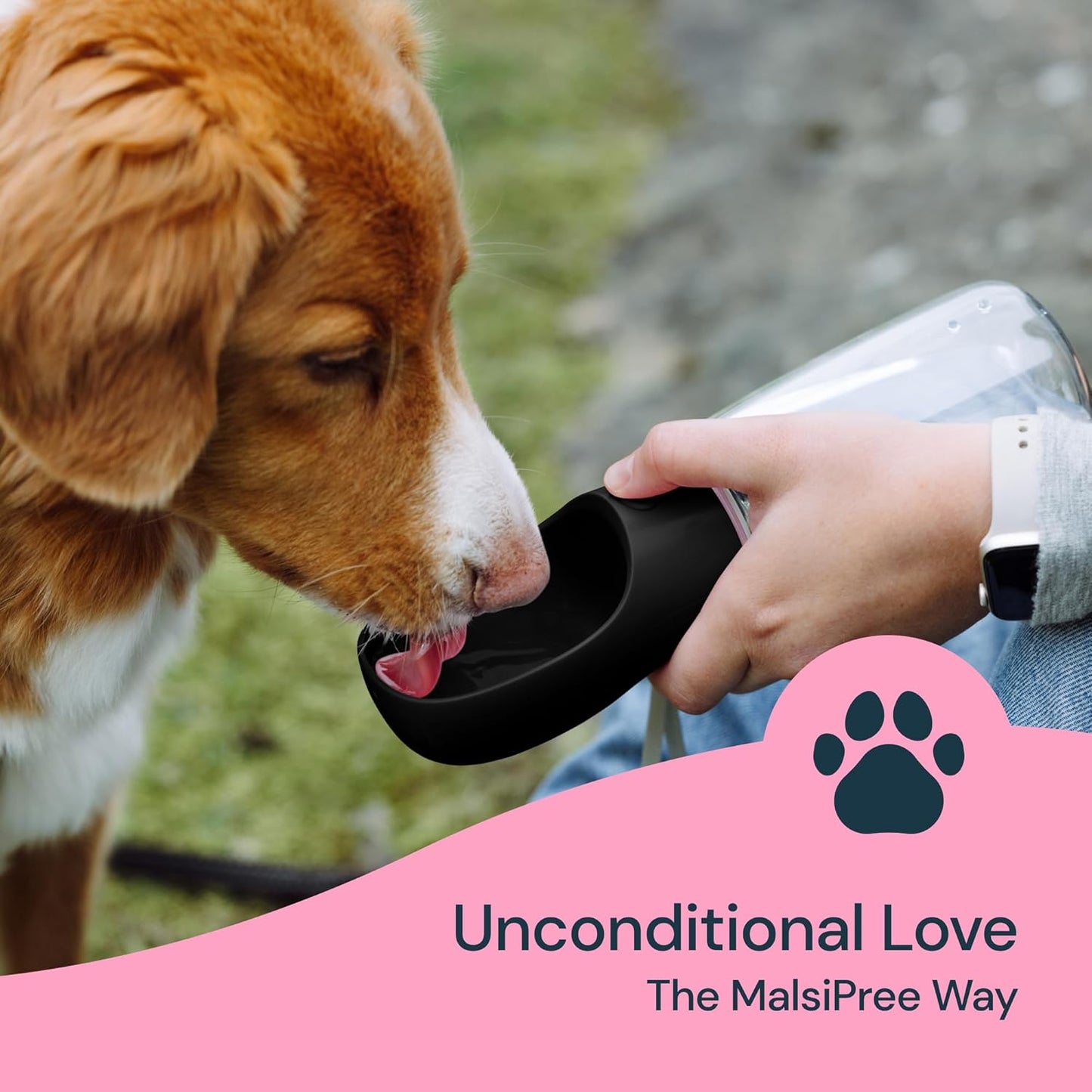19oz Portable Dog Water Bottle