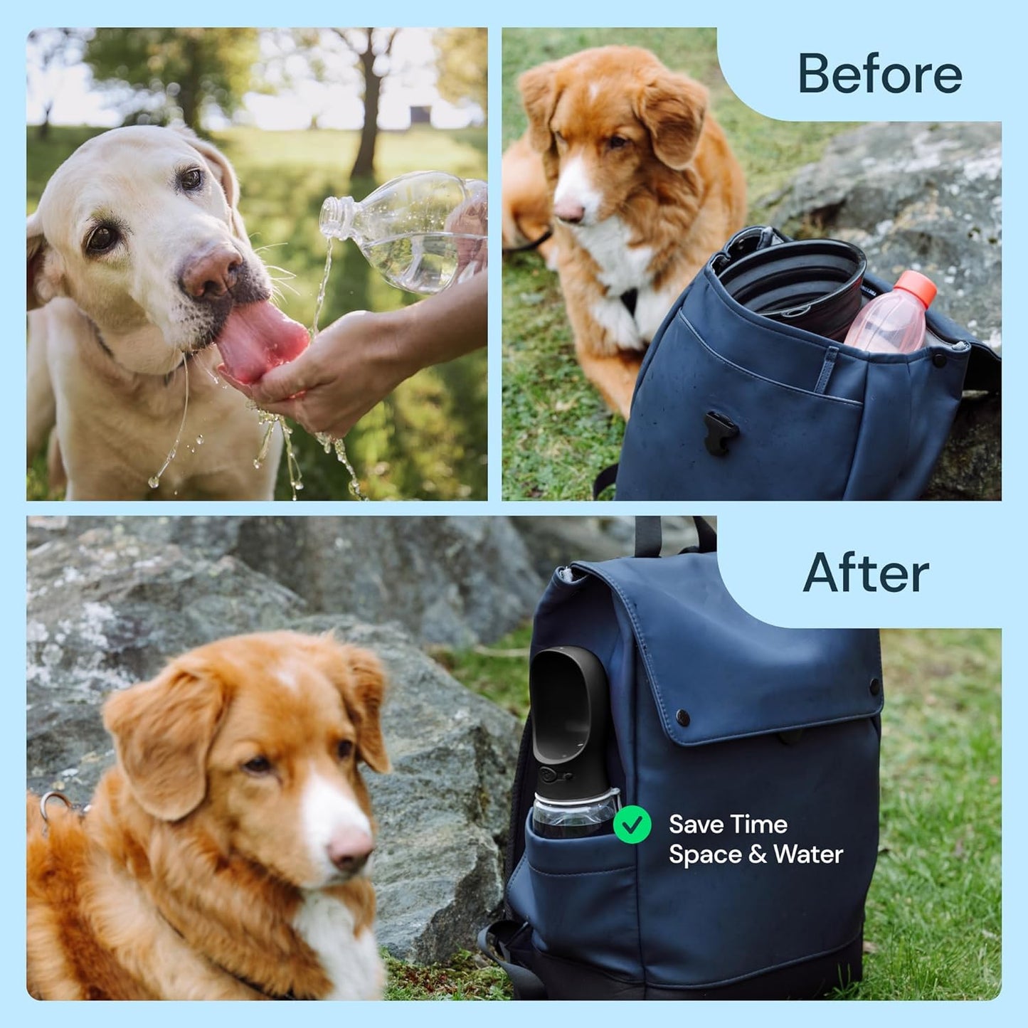 19oz Portable Dog Water Bottle