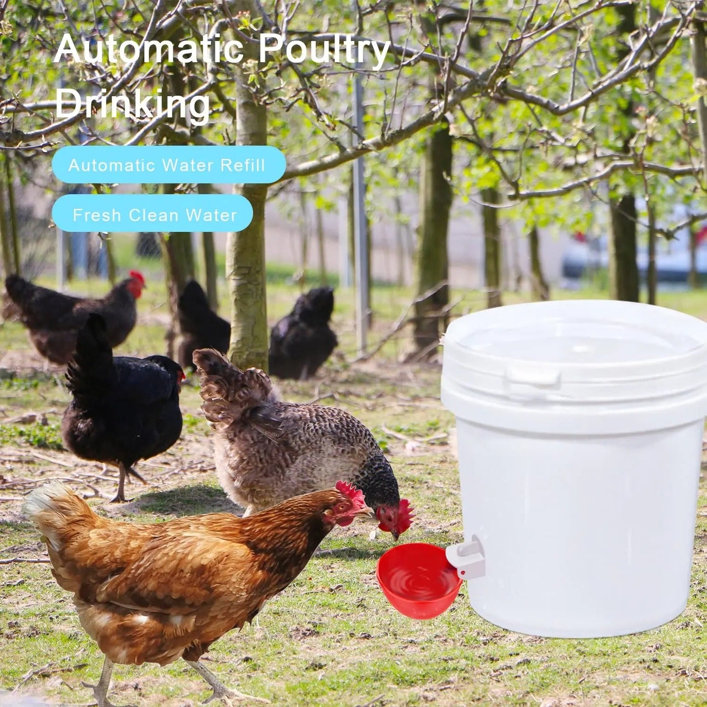 Chicken Waterer