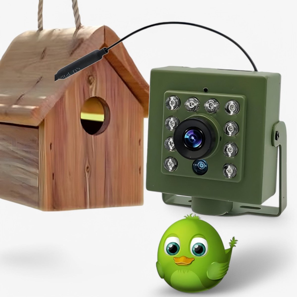 1080p HD Weatherproof Wildlife Camera