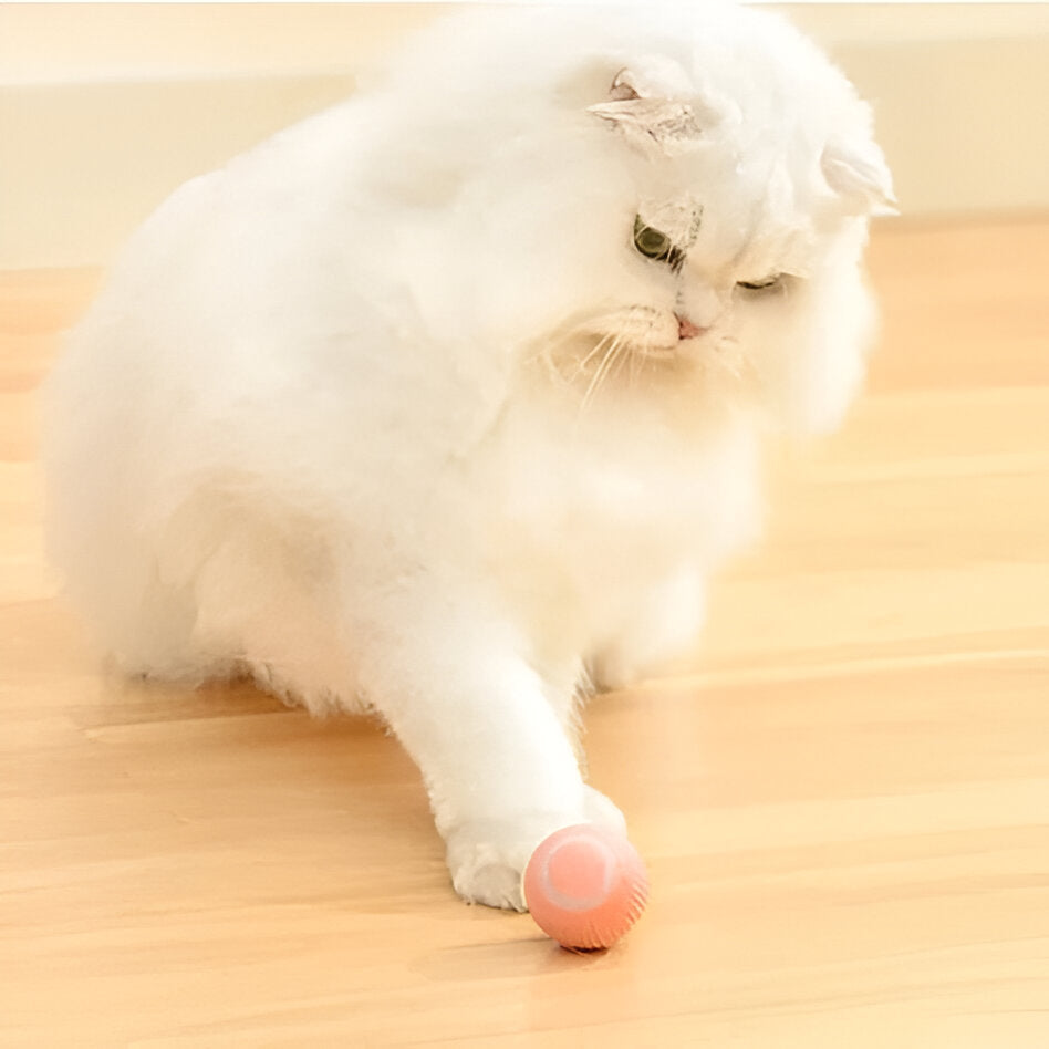 2-in-1 Interactive Hunting Cat Toy