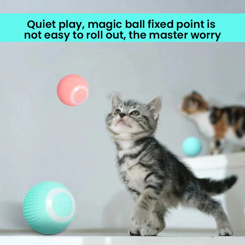 2-in-1 Interactive Hunting Cat Toy