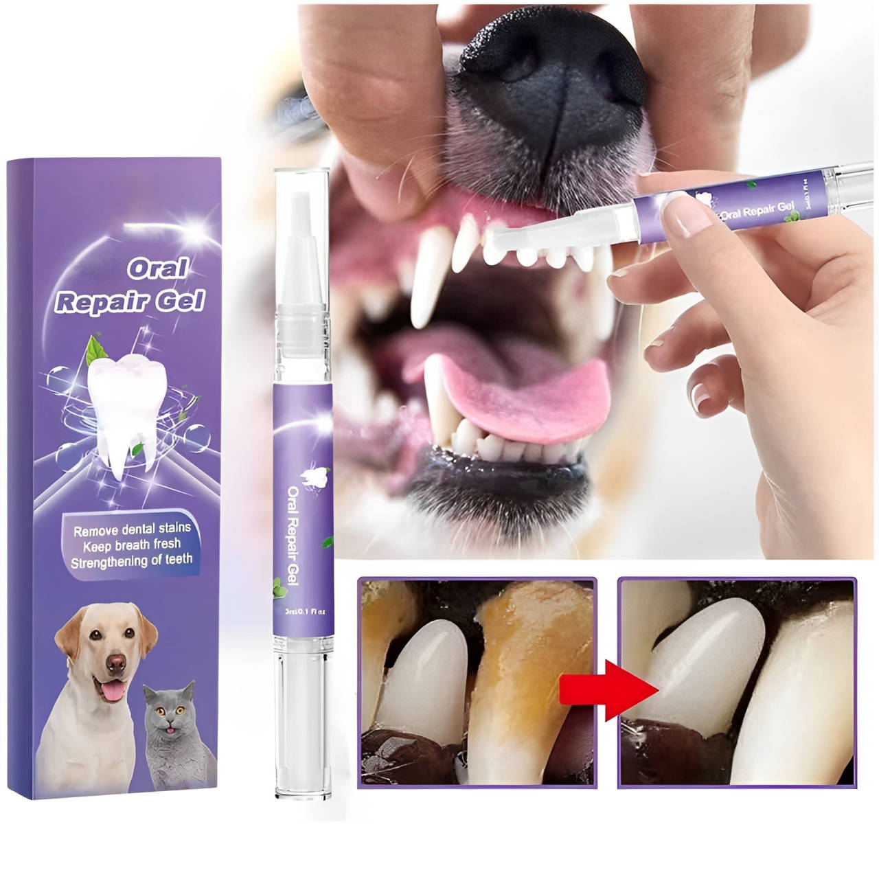 Dog Oral Repair Gel