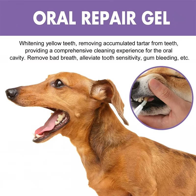 Dog Oral Repair Gel